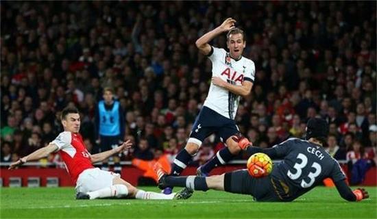 毛球的娱乐 毛球的娱乐